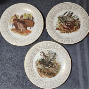 Lot of 3 Whitlatch Collectors Plates "Birds of America" Gorgeous!!